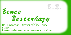 bence mesterhazy business card